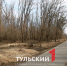 Какие деревья должны расти в парке, чтобы массив не болел - ТК Первый Тульский