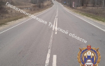 Автомобиль «Фольксваген» перевернулся в кювет под Богородицком - двое пострадали