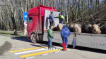 В Центральном парке Тулы начали высаживать декоративные рябины
