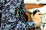 Экипаж вневедомственной охраны Росгвардии задержал хулигана в Туле