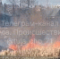 В Пролетарском парке Тулы горит сухая трава, а в селе Большая Тросна в дыму оказалось кладбище - ИА Тульская служба новостей