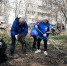 PAV-5554_result.jpg - Myslo.Ru