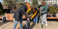 Более 11 тысяч человек вышли на субботник в Туле 5 апреля - ИА Тульская служба новостей