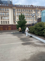 Убрали 535 тысяч квадратных метров: в Туле прошел второй общегородской субботник
