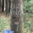 4G0mRX9ClWA.jpg - Myslo.Ru
