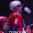 Матч НХЛ прервали после рекордной шайбы Овечкина - ТК Первый Тульский