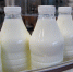 Тульский Роспотребнадзор рассказал о правилах маркировки молочной продукции - Молодой коммунар