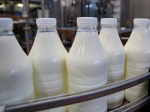Тульский Роспотребнадзор рассказал о правилах маркировки молочной продукции