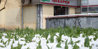 В Тульской области пройдет снег, и похолодает до -2 градусов 8 апреля - ИА Тульская служба новостей