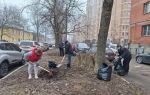 Общеобластной субботник в Тульской области перенесли на 26 апреля из-за погоды