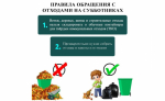 ООО «МСК-НТ»: о правилах складирования отходов на субботниках