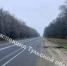 В ДТП на трассе в Чернском районе погиб молодой водитель автомобиля Lada - Комсомольская Правда
