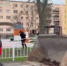 В Тульском сквере в Мариуполе состоялся субботник - ИА Тульская служба новостей