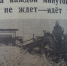 Ах, фестиваль, фестиваль - Молодой коммунар