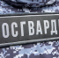 За неделю сотрудники Росгвардии пресекли более 30 административных правонарушений - ИА Тульская служба новостей