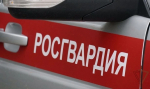 В Туле задержали двух подозреваемых в ограблении женщин