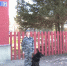 Полицейские напомнили, в честь кого назвали улицу Рогова в тульском Мясново - ТК Первый Тульский
