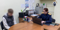 В Туле задержали пятерых хулиганов, избивших прохожих - Центр 71