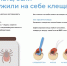 За неделю клещи начали кусать туляков в два с половиной раза чаще - ТК Первый Тульский