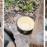 Fotoram.io (1).jpg - Myslo.Ru
