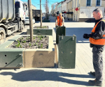 На проспекте Ленина модули с липами освободили от защитных коробов