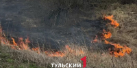 В Тульской области в деревне Шипулино загорелось поле - ТК Первый Тульский