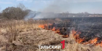 В Тульской области недалеко от поселка Октябрьский загорелось поле - ТК Первый Тульский
