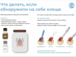 Тулякам рассказали о мерах профилактики клещевого боррелиоза