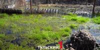 Ликвидация болота в Центральном округе Тулы обойдется в 7 млн рублей - ТК Первый Тульский
