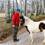 ArPEu-GpLz8.jpg - Myslo.Ru