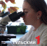 В Тульской области пройдут мероприятия-спутники конгресса молодых ученых - ТК Первый Тульский