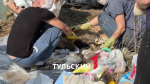В Болохово две собаки провалились в битум: проверку начала прокуратура