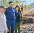 Тульская природоохранная прокуратура показала видео с места, где собаки провалились в мазут - ИА Тульская пресса.Ru