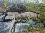 В Болохово две собаки упали в открытый резервуар с битумом