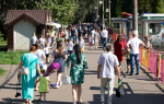 В Туле 17% работодателей готовы нанимать сотрудников с судимостью