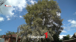 В тульском парке «Патриот» высадят Сталинградский «Тополь Победы»