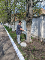 Министерство спорта Тульской области присоединилось к Всероссийскому субботнику