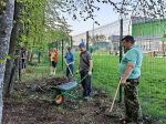 Министерство спорта Тульской области присоединилось к Всероссийскому субботнику
