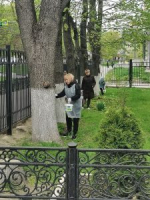 Субботник