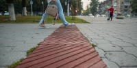 В Щекинском районе лось чуть не сбил женщину на перекрестке - ИА Тульская служба новостей
