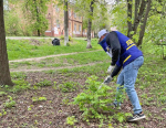 В честь праздника Весны и Труда активисты ЛДПР провели субботник возле штаба помощи СВО