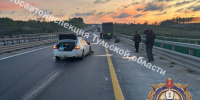 Помощь медиков понадобилась двум мужчинам на дороге в Тульской области - Молодой коммунар