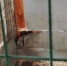 63d168d5-729b-4976-abb0-e12810339949.jpg - Myslo.Ru