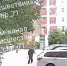 Дети избивают палками кошек на Курковой улице в Туле - ИА Тульская служба новостей