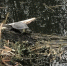 e2904099-6b70-4d80-8e61-8a6c29e32c2c_1.jpg - Myslo.Ru