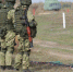 Россиянки при разводе не смогут претендовать на доходы участников СВО - ИА Тульская пресса.Ru