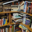 Тульским книжным предписано утилизировать десятки изданий - Молодой коммунар
