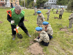 Аллея юных десантников