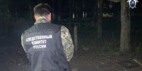 Жительница Богородицка убила своего сожителя - Myslo.Ru