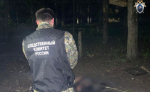 В Богородицке женщина зарезала сожителя — возбуждено уголовное дело